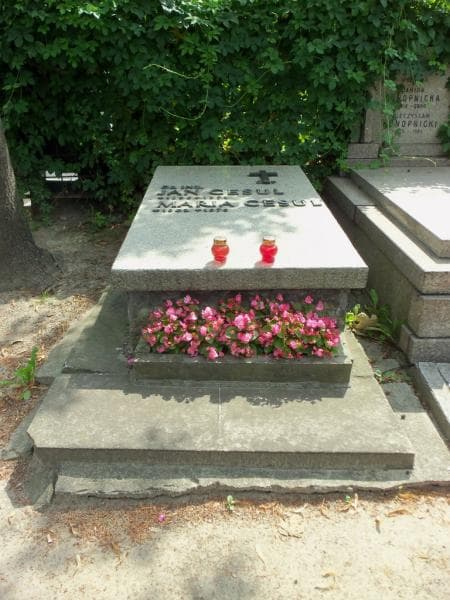 Zdjęcie grobu Jan Cesul (1)