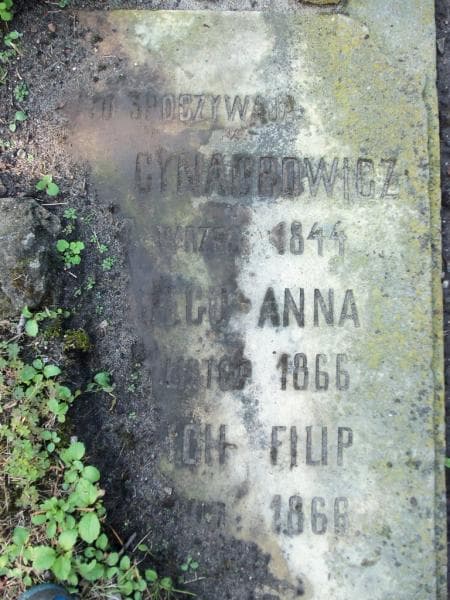 Zdjęcie grobu ... Cynadrowicz (2)