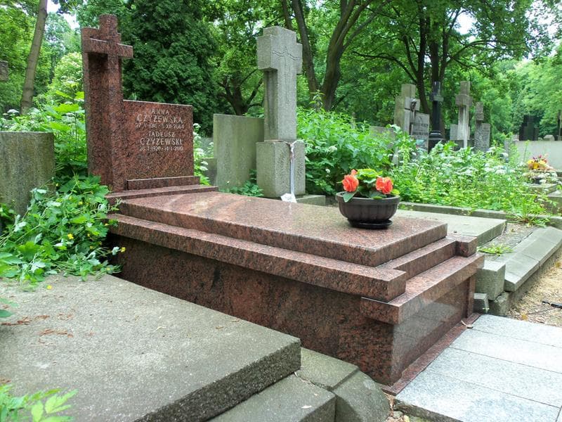 Zdjęcie grobu Tadeusz Czyżewski (1)