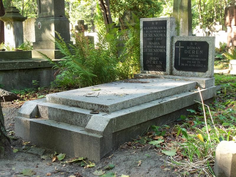 Zdjęcie grobu Władysława Dereniowa (1)