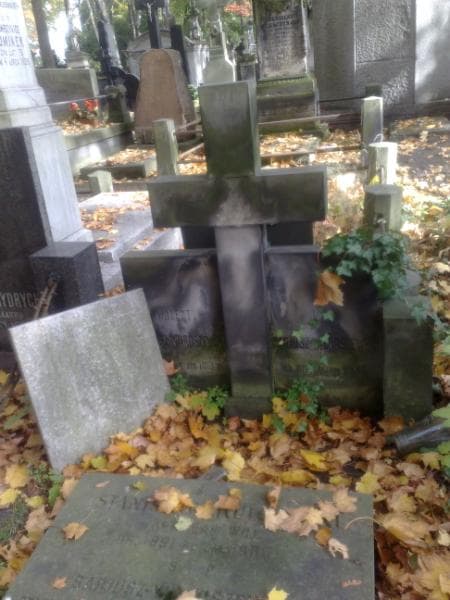Zdjęcie grobu Włodzimierz Kulczycki (1)