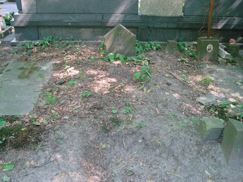 Zdjęcie grobu Wandeczka Libicka (1)