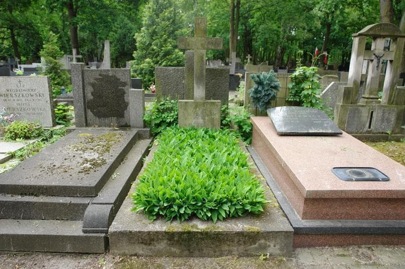 Zdjęcie grobu Jerzy Majewski (1)