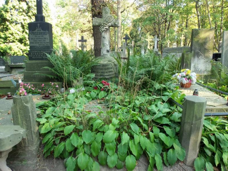 Zdjęcie grobu: Maria Czołhan