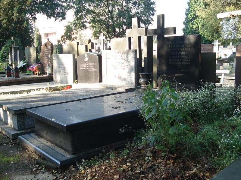 Zdjęcie grobu Aleksander Guranowski (1)
