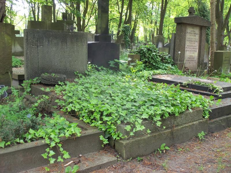 Zdjęcie grobu Maria Puchalska (1)
