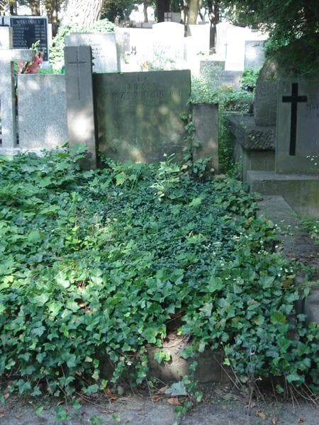 Zdjęcie grobu: Józef Krzywnicki
