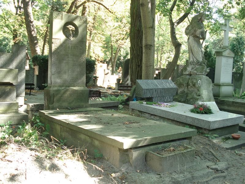 Zdjęcie grobu Janina Lipska (1)
