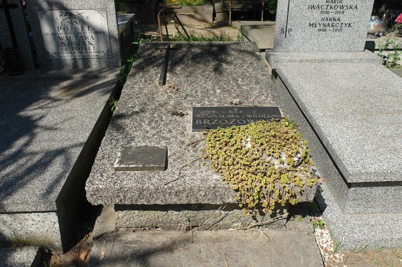 Zdjęcie grobu Władysława Brzozowska (1)
