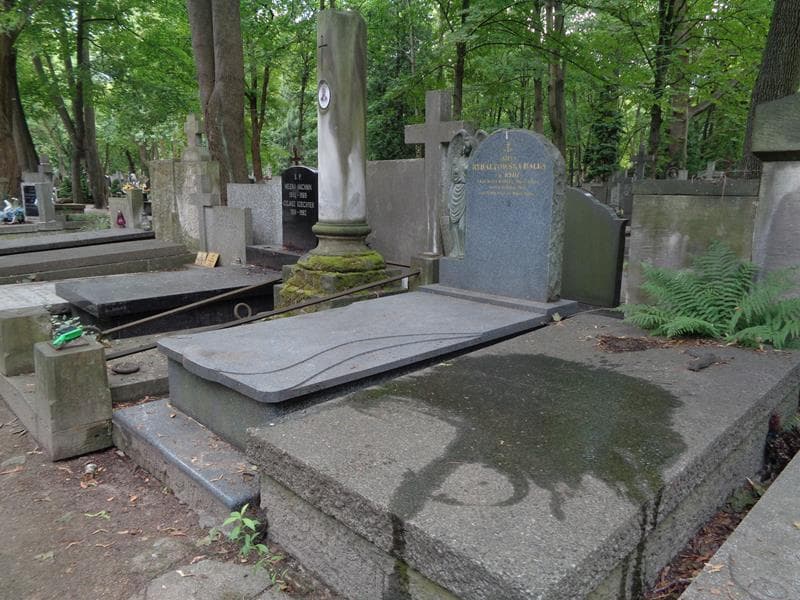 Zdjęcie grobu: Zofia Rybałtowska-Hałka