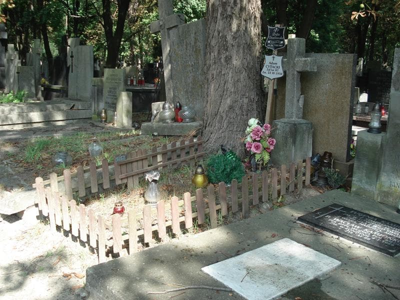 Zdjęcie grobu: Cecylia Cytacka