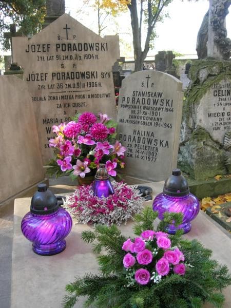 Zdjęcie grobu Maria Włodarska (1)