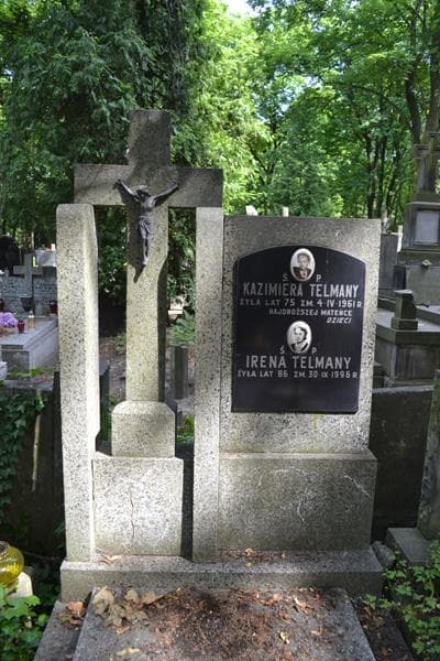Zdjęcie grobu Irena Telmany (2)