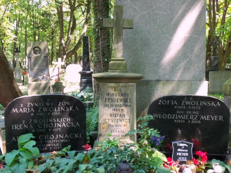 Zdjęcie grobu Stanisława Żyniewicz (2)