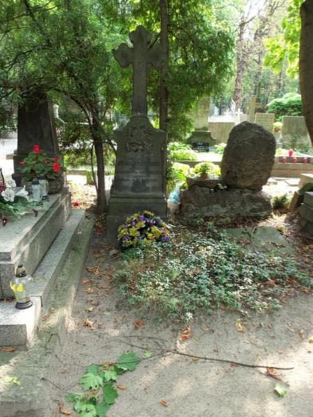 Zdjęcie grobu: Zygmunt Stronczyński