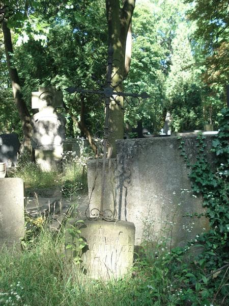 Zdjęcie grobu Władysław Bogdanowicz (1)