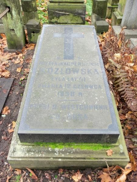 Zdjęcie grobu Józefa Kozłowska (2)