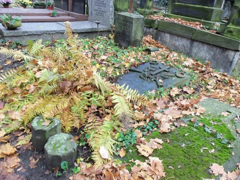 Zdjęcie grobu Mikołaj Piotrowski (1)
