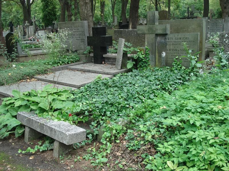 Zdjęcie grobu Maria Danuta Dębska (1)