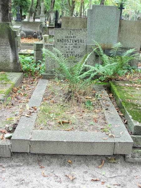 Zdjęcie grobu: Witold Antoszewski