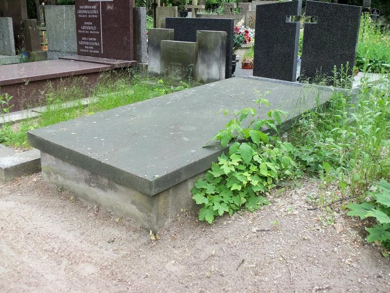 Zdjęcie grobu Julian Zgorzalewicz (2)