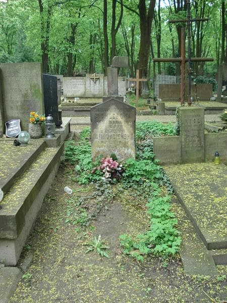 Zdjęcie grobu: Zofia Jasieńska