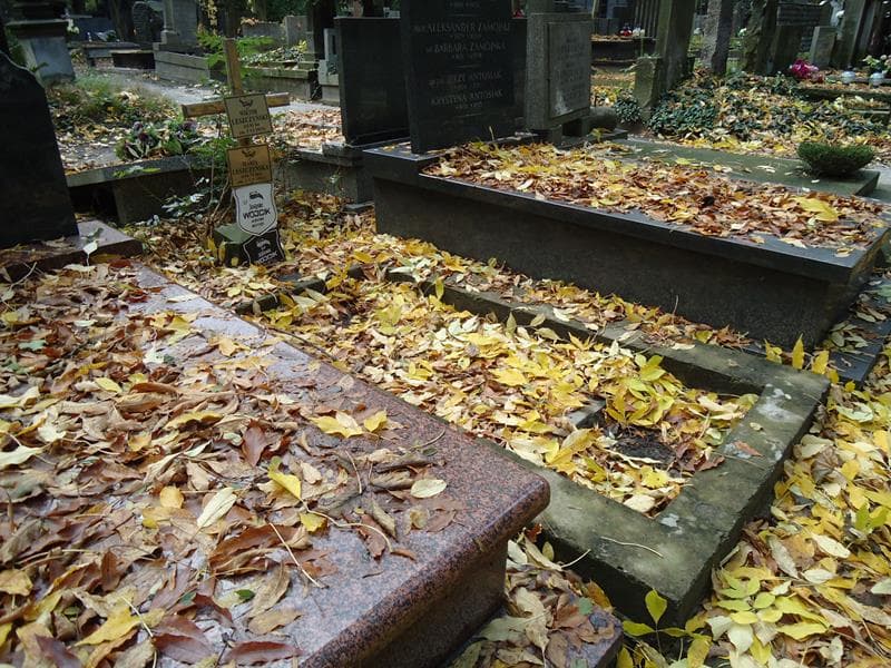 Zdjęcie grobu Maria Leszczyńska (1)