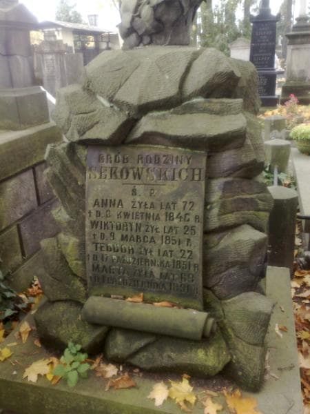 Zdjęcie grobu Teodor Sękowski (1)