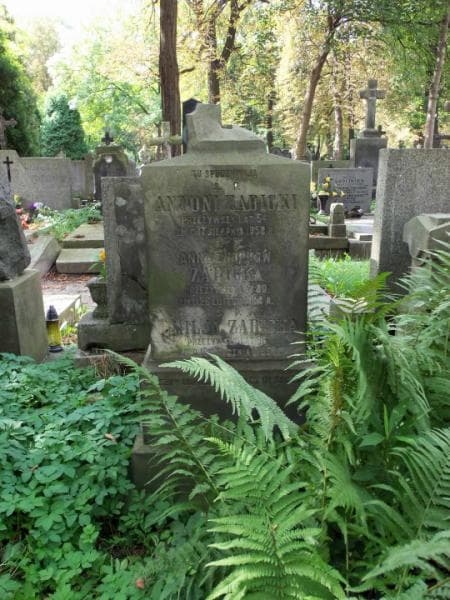 Zdjęcie grobu Anna Żabicka (1)