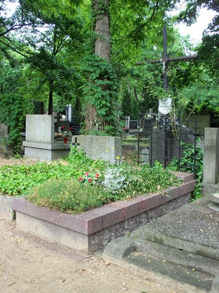 Zdjęcie grobu Maria Antoniewicz (1)