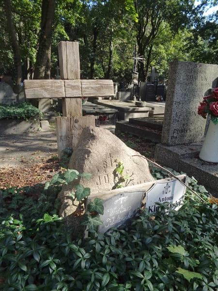 Zdjęcie grobu Józef Olszewski (2)