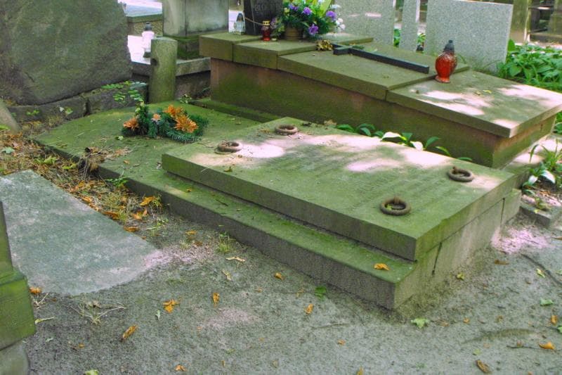 Zdjęcie grobu Władysław Górski (2)