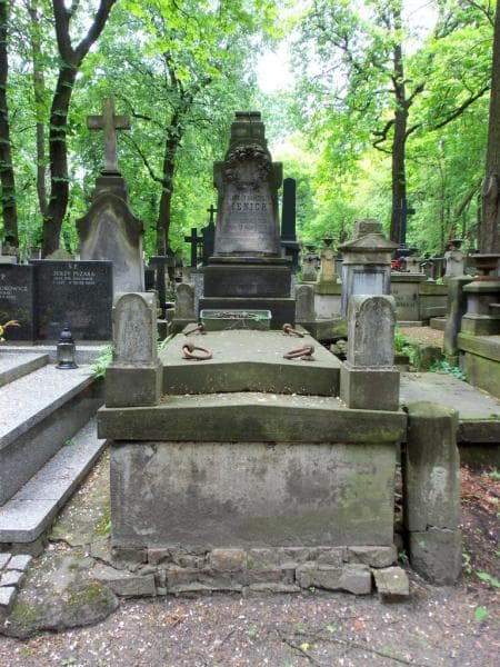 Zdjęcie grobu: Franciszek Sienicki