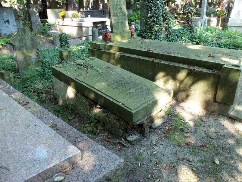 Zdjęcie grobu Michalina Blizińska (1)