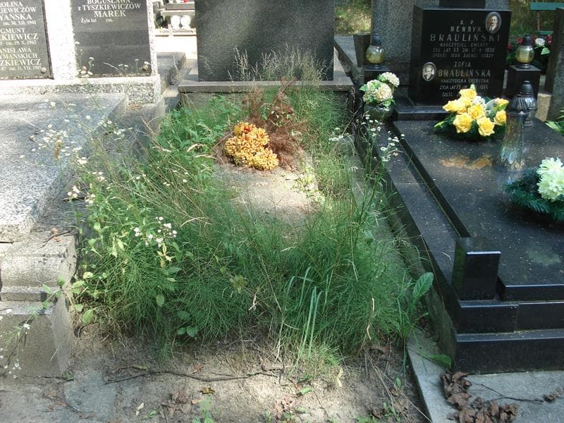 Zdjęcie grobu: Paulina Nawroz