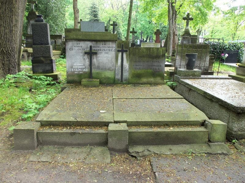 Zdjęcie grobu: Aleksander Cegłowski
