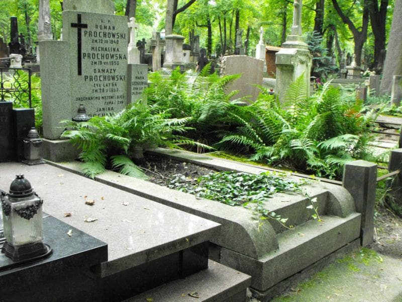 Zdjęcie grobu Maria Szczeblewska (1)