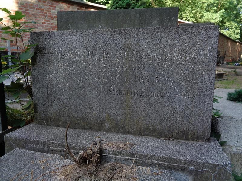 Zdjęcie grobu Rajmund Pomianowski (2)