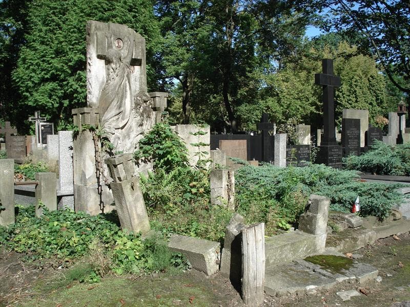 Zdjęcie grobu Franciszek Grzesik (1)
