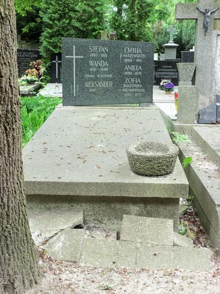 Zdjęcie grobu: Stefan Fredro