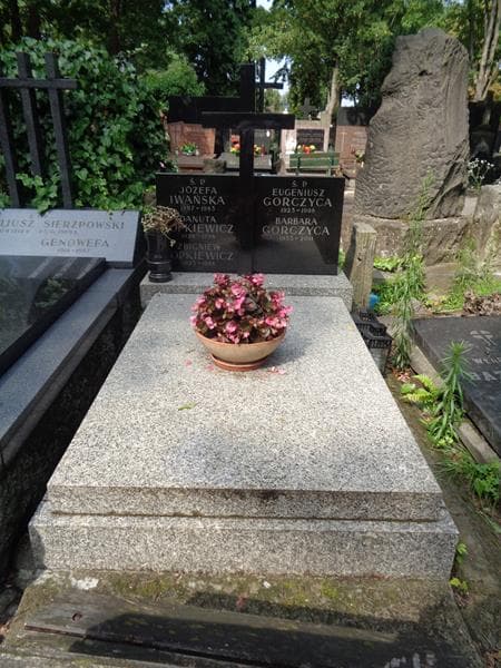 Zdjęcie grobu Eugeniusz Gorczyca (1)