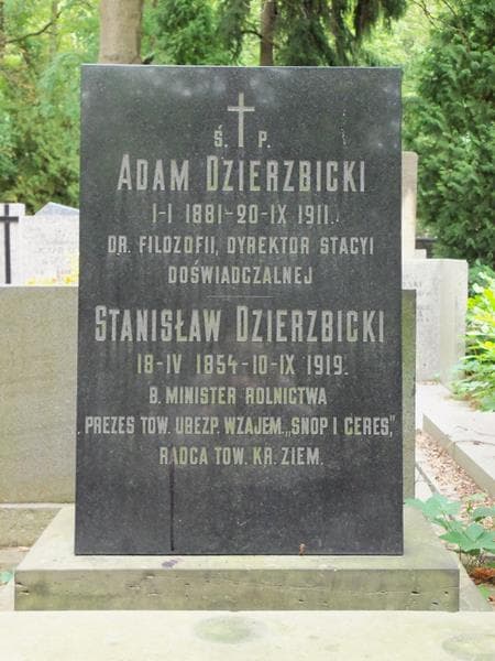Zdjęcie grobu Walerja Dzierzbicka (2)