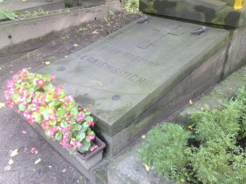 Zdjęcie grobu Anna Wyszyńska (2)