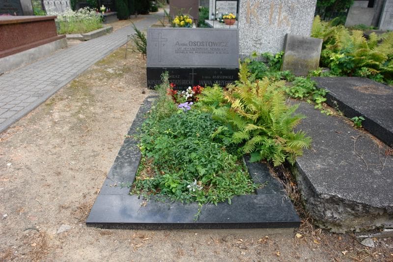 Zdjęcie grobu Janina Strzegocka (1)