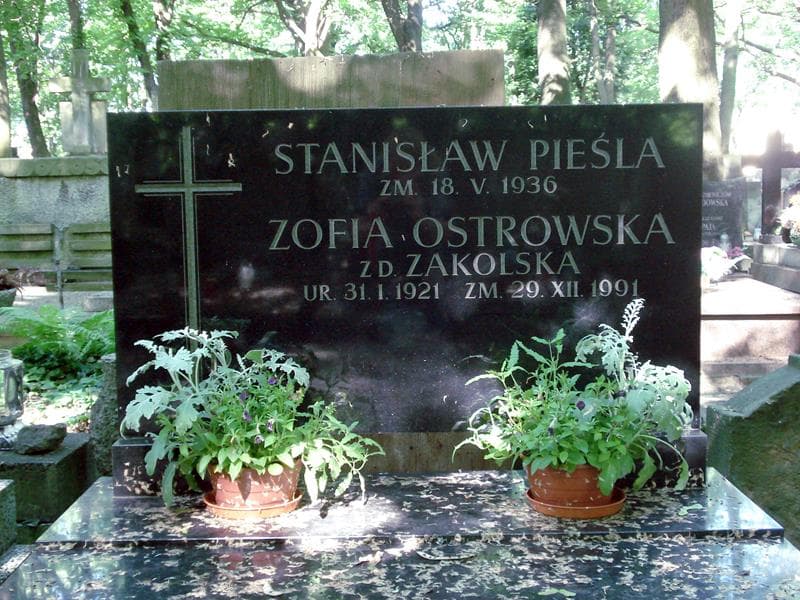 Zdjęcie grobu Stanisław Pieśla (1)