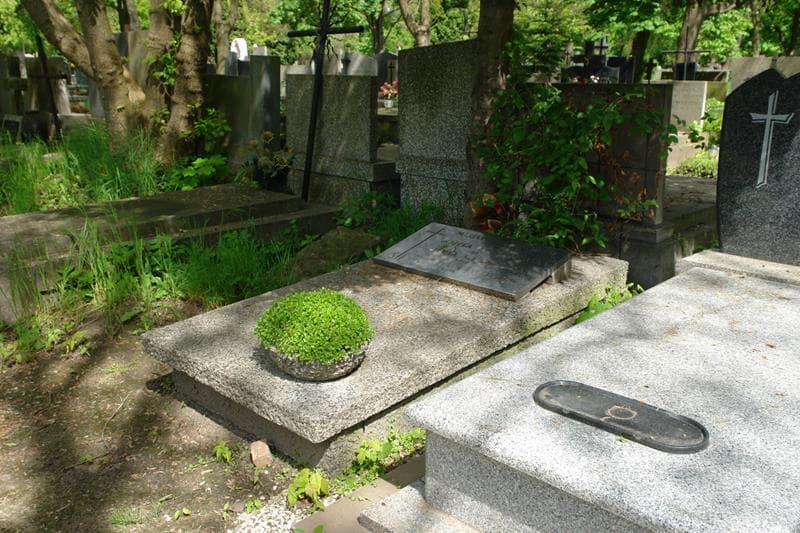 Zdjęcie grobu Marian Pobudkowski (2)