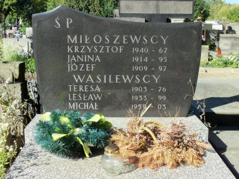 Zdjęcie grobu Michał Wasilewski (2)