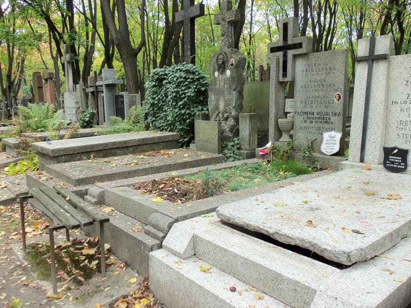 Zdjęcie grobu Dominika Obidzińska (1)
