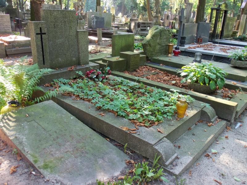 Zdjęcie grobu Ksawera Chrzastowska (1)