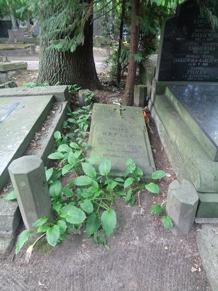 Zdjęcie grobu Feliks Waręski (1)